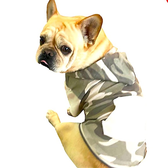 Grayson Pup The Label Other - NWOT GRAYSON PUP The Label dog apparel sz L Camouflage hoodie